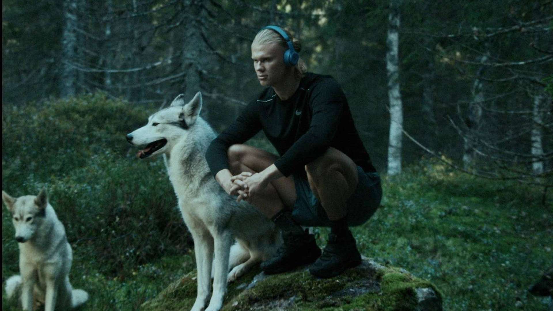 上继续前行 上继续前行