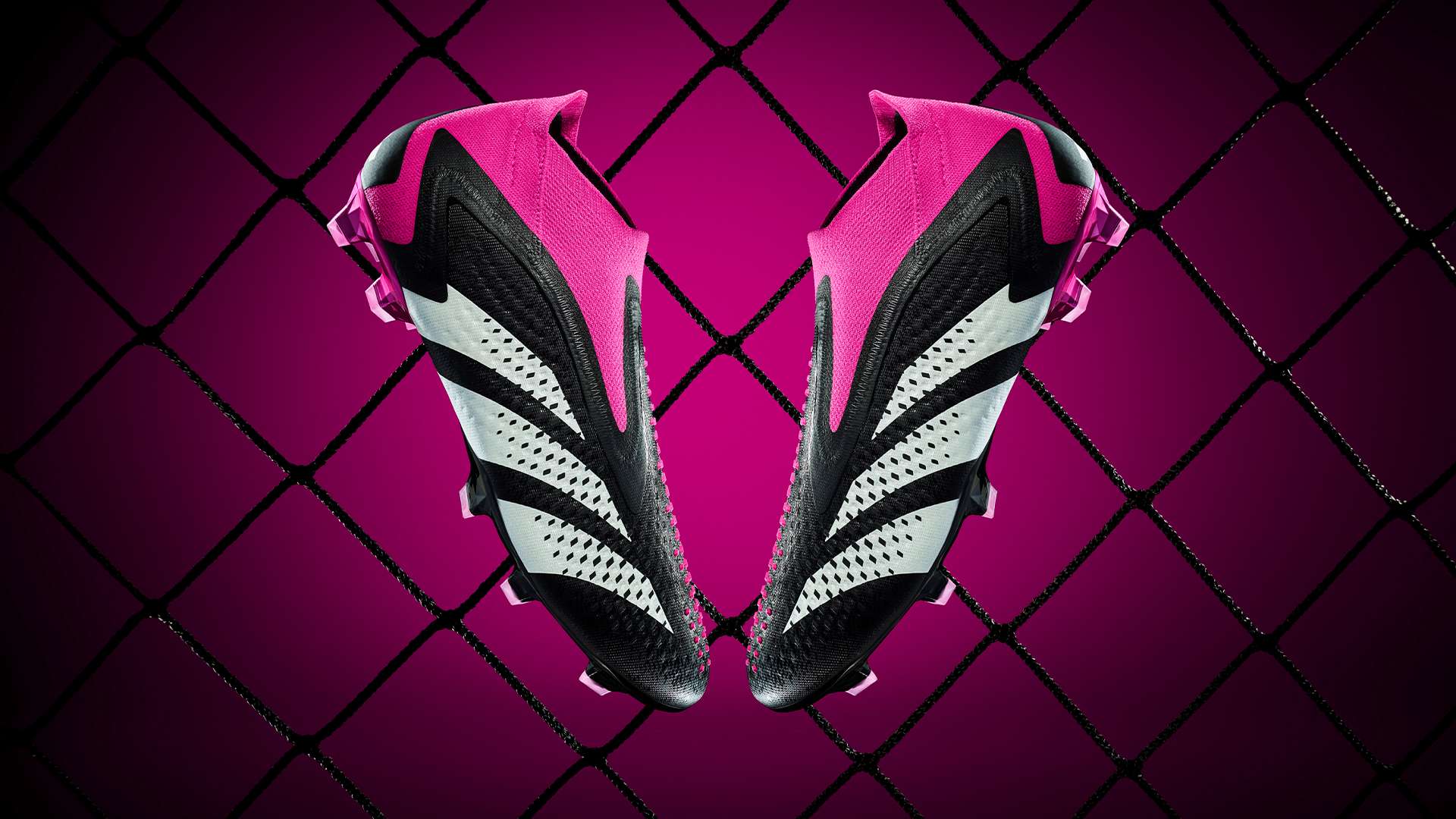 迷树立了榜 迷树立了榜